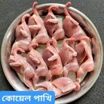 Koyel(30pcs 1320 tk),30pcs 2700-3000 gm - Image 3