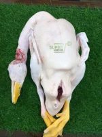 Beijing Duck 4pc 10 kg 3200 tk(per kg 320tk) - Image 2