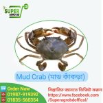 Mud Crab(non process) 1 kg