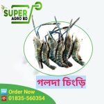 Golda Chigri 1 kg 1450tk (12-14 tai 1 kg)
