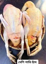 Deshi Duck (দেশী হাঁস) 680 tk per kg - Image 4