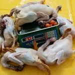 Deshi Duck (দেশী হাঁস) 680 tk per kg - Image 3