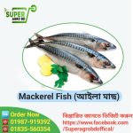 Aila Fish/ Mackerel Fish 1kg