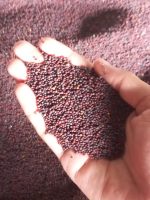 Musterd Oil 1 ltr - Image 4