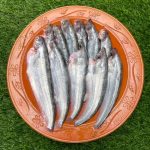 Pabda Fish