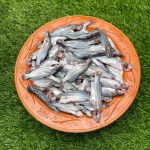 Tegra Fish