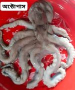 Octopus 1kg 750 tk - Image 4