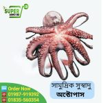 Octopus 1kg 750 tk