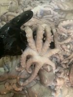 Octopus 1kg 750 tk - Image 3
