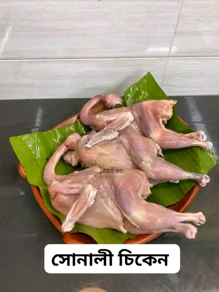 WhatsApp Image 2026-06-23 at 6.43.48 PM Sonali Rost Chicken 1 pcs 320 tk (after processing 500 gm +/-) - Image 1