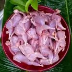 Koyel meat (50 pcs 2500 tk), 10 pcs 900-1000 gm