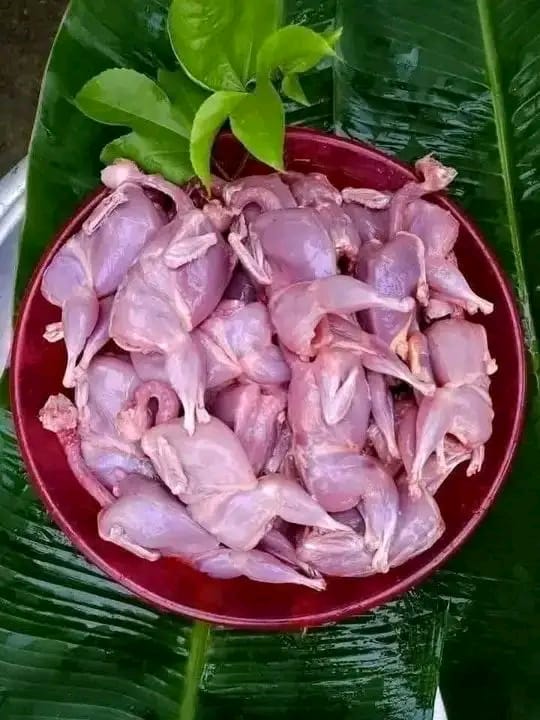WhatsApp Image 2026-07-11 at 3.02.43 PM Koyel meat (50 pcs 2500 tk), 10 pcs 900-1000 gm - Image 1