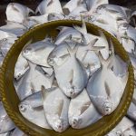 Rupcada 1 kg 900 tk (7/8 pcs)
